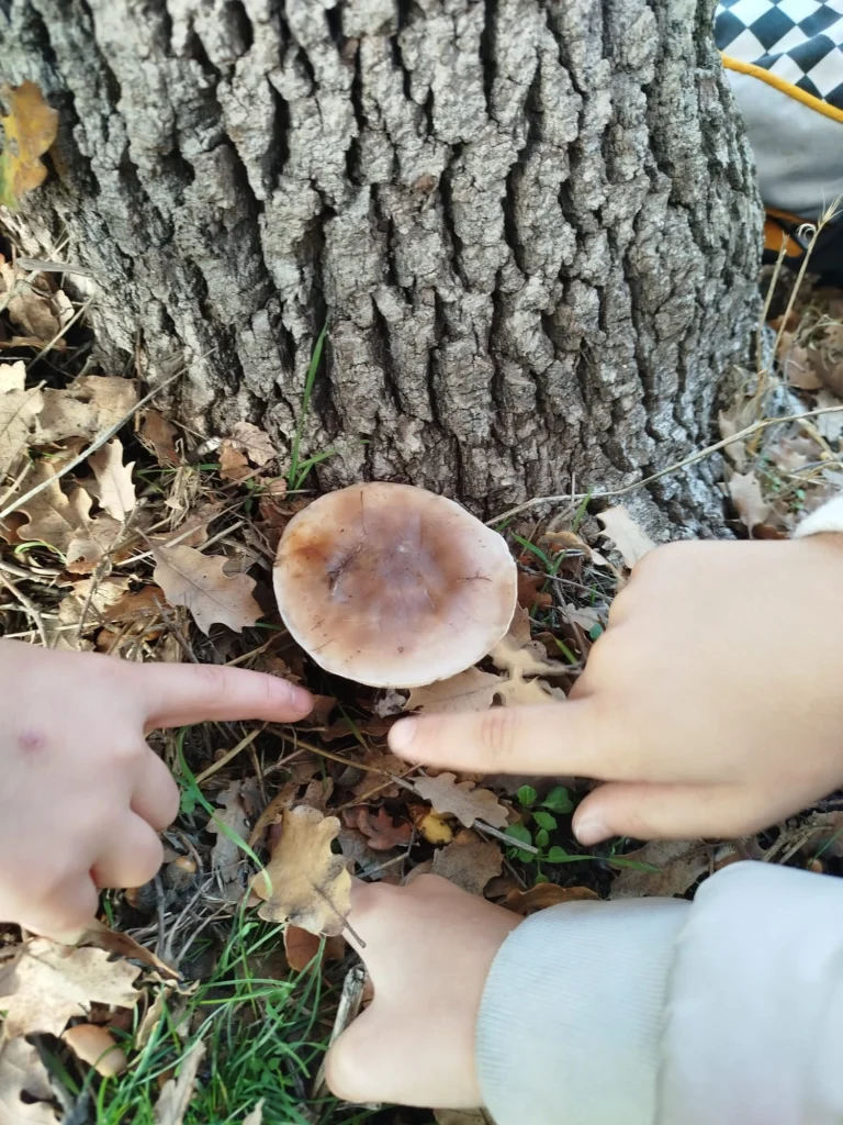 IMG-20241213-WA0425_result